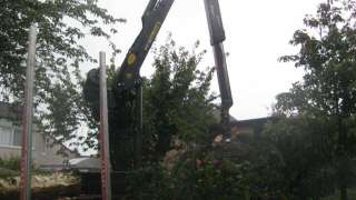 afvoeren takken na het rooien van bomen in schijndel madaliefstraat